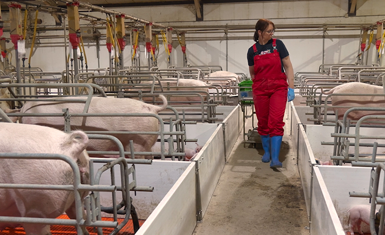 Geen naalden: geen ziekteoverdracht